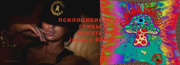 гидра Алзамай
